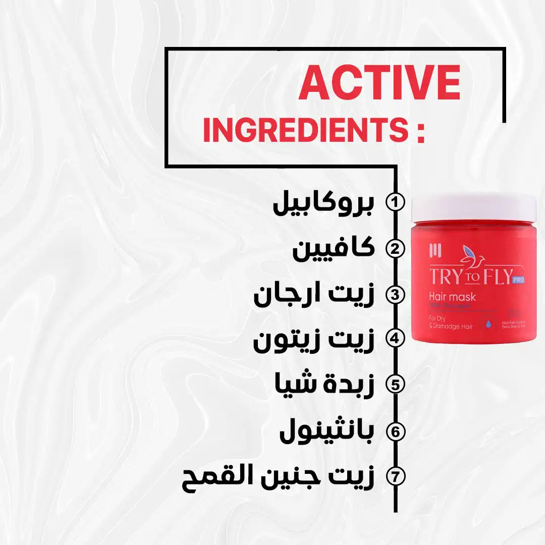 TryToFly Hair Mask (300GM)